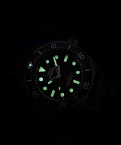 Zegarek Timex TW2Y02200 – luma – świecące indeksy i wskazówki