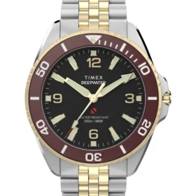 Timex Deepwater Arctic TW2Y64700 — 40,5 mm, wersja dwukolorowa